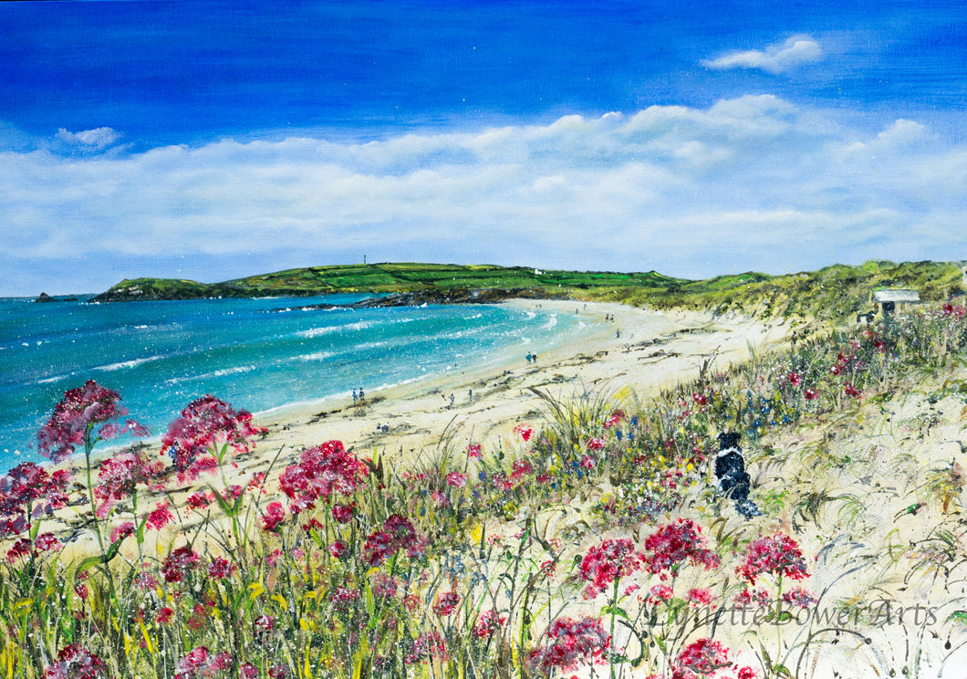 Constantine Bay - High Quality Giclée print - Padstow Beach - - Cornwall - Red Valerian - Coastal flowers (Copy)