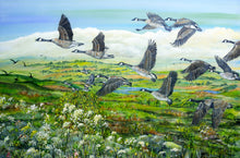 Load image into Gallery viewer, Canada Geese - Flying - High Quality Giclée Prints