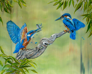 Kingfisher pair - Kingfishers - High Quality Giclée Prints - Riverside - Blue