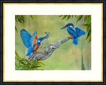 Load image into Gallery viewer, Kingfisher pair - Kingfishers - High Quality Giclée Prints - Riverside - Blue