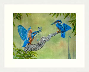 Kingfisher pair - Kingfishers - High Quality Giclée Prints - Riverside - Blue