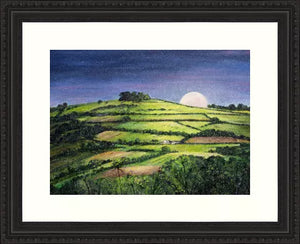 Kelston Roundhill Moon Rising , Original Painting, Kelston Roundhill, Bath, Hedge Parsley , Kelston Tump, Flowers