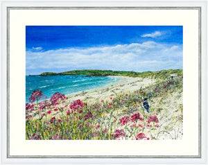 Constantine Bay - High Quality Giclée print - Padstow Beach - - Cornwall - Red Valerian - Coastal flowers (Copy)