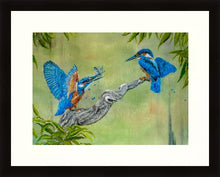 Load image into Gallery viewer, Kingfisher pair - Kingfishers - High Quality Giclée Prints - Riverside - Blue