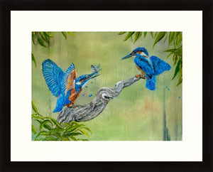 Kingfisher pair - Kingfishers - High Quality Giclée Prints - Riverside - Blue