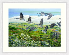 Load image into Gallery viewer, Canada Geese - Flying - High Quality Giclée Prints