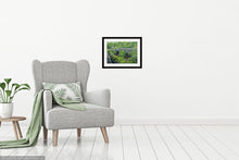 Load image into Gallery viewer, Oldland Common- Road Bridge - Court Road - Siston Brook - High Quality Giclée Prints