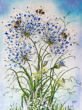 Load image into Gallery viewer, A5 Quality Greetings Cards-Original Paintings - Kelston Roundhill-Agapanthus and Alliums-Bumble Bees-Monarch Butterflies-Seedheads