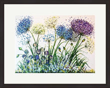 Load image into Gallery viewer, Large Agapanthus - High Quality Giclée Prints