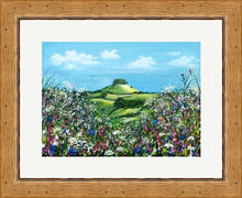 Load image into Gallery viewer, Original Painting, Kelston Roundhill, Balloons, Bath, Hedge Parsley , Kelston Tump, Flowers