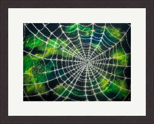 Spiders Web - Original Acrylic Painting and High Quality Giclée Prints