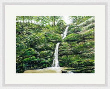 Load image into Gallery viewer, Greyfields Waterfall - High Quality Giclée Prints