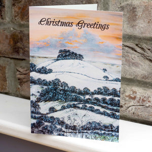 A5 Quality Greetings Cards-Original Paintings - Kelston Roundhill-Agapanthus and Alliums-Bumble Bees-Monarch Butterflies-Seedheads
