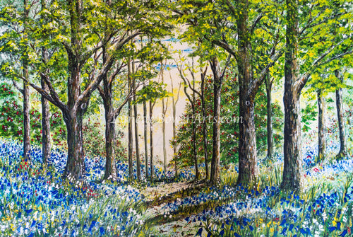 Bluebell Wood - High Quality Giclée Prints