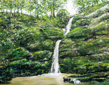 Load image into Gallery viewer, Greyfields Waterfall - High Quality Giclée Prints