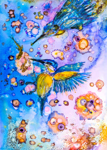 Kingfishers - High Quality Giclée Prints