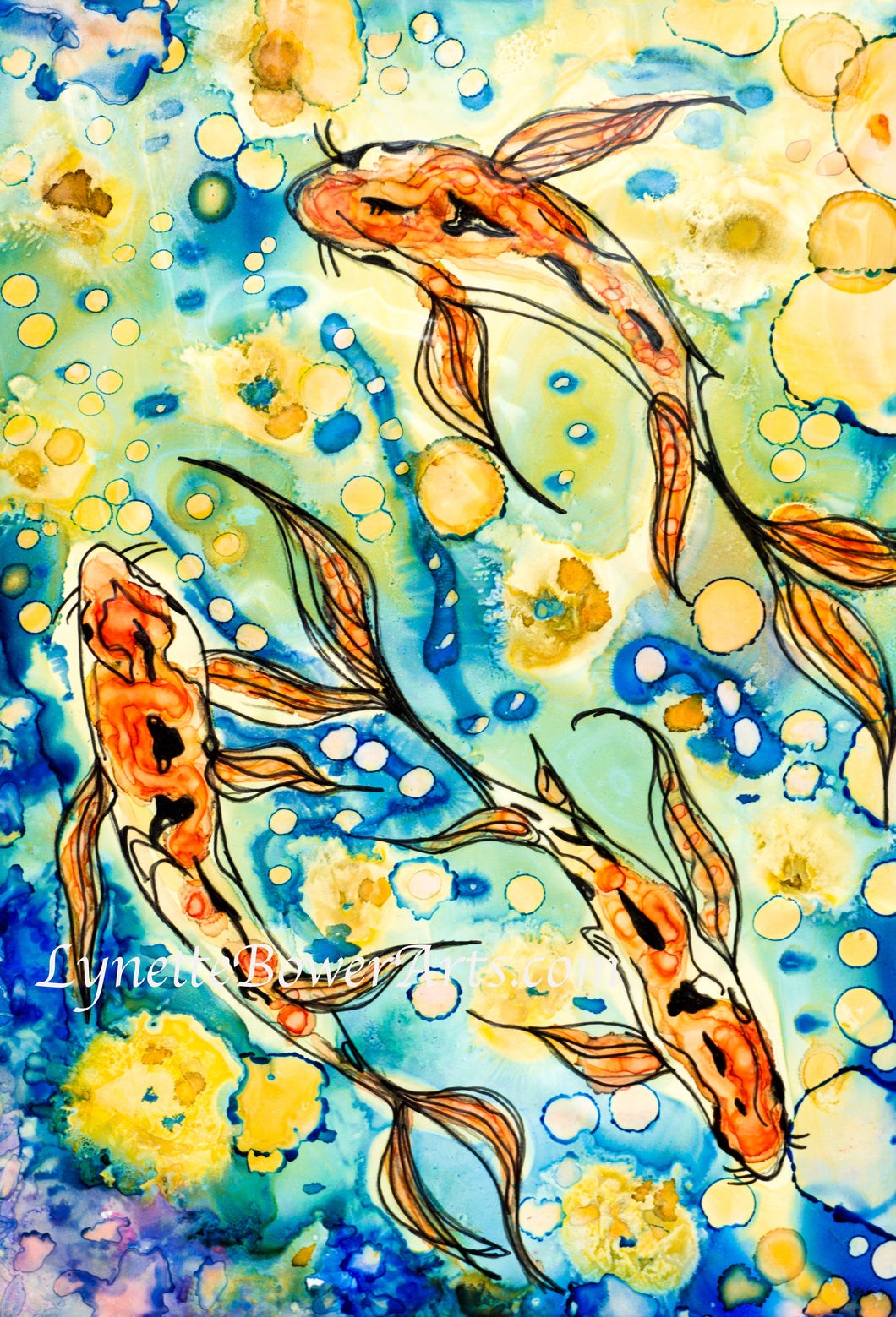 Koi Carp - High Quality Giclée Prints