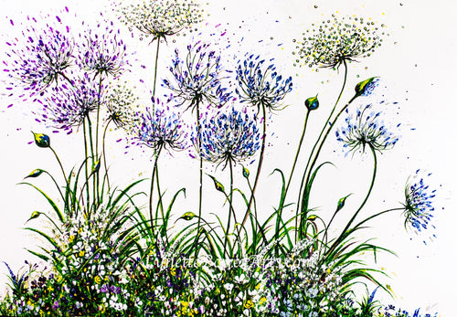 Airy Agapanthus - High Quality Giclée Prints