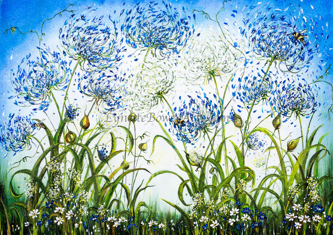 Agapanthus Ruth - High Quality Giclée Prints