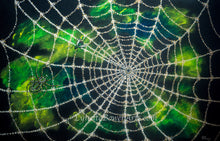 Load image into Gallery viewer, Spiders Web - Original Acrylic Painting and High Quality Giclée Prints