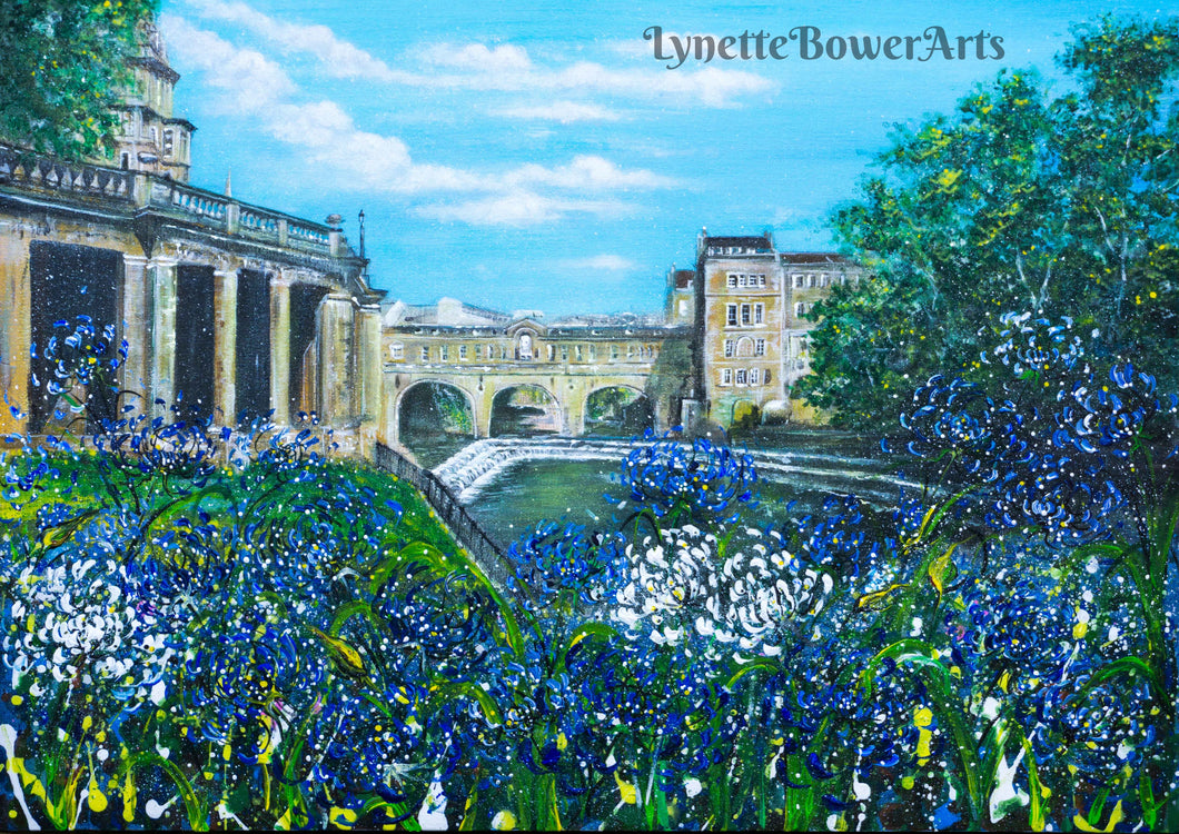 Pulteney Bridge, City of Bath, Agapanthus, Pulteney Wier, Parade Gardens, Giclee Prints