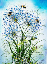 Load image into Gallery viewer, Agapanthus and Bumble Bees - High Quality Giclée Prints