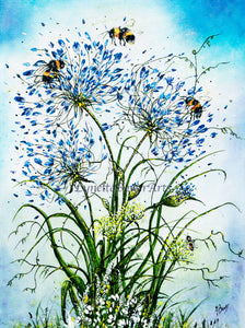 Agapanthus and Bumble Bees - High Quality Giclée Prints