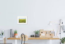 Load image into Gallery viewer, Sunflower Meadow- Giclée Print- Yellow Daisies-Lynette Bower-Sunshine-Summer-Blue Cornflowers-Meadow print- Marigold-Calendula