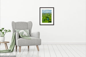 Kelston Roundhill Arial View - High Quality Giclée Prints - Hot Air Balloons - Bath - Kelston